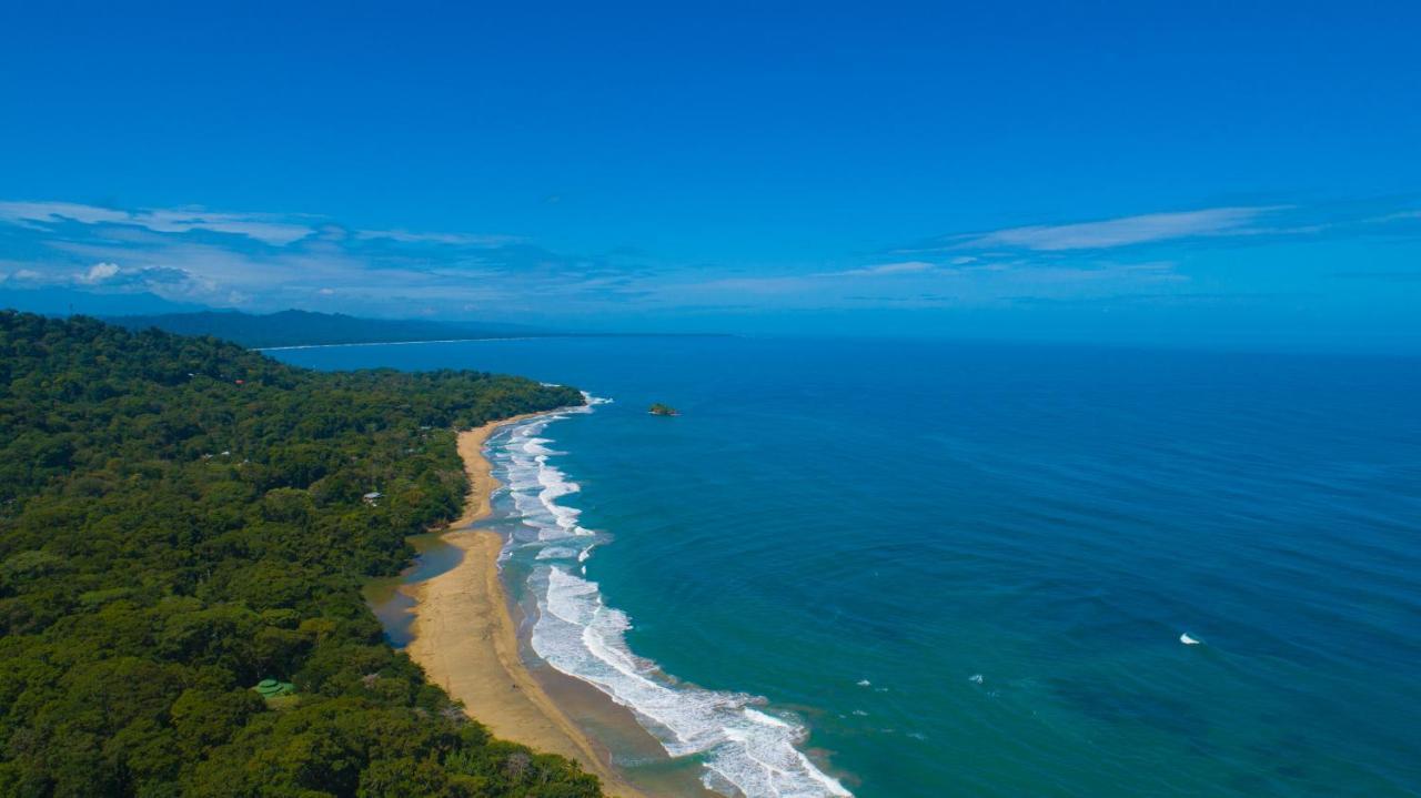 Gigi Brown Villa Paparazzi Beachfront Puerto Viejo de Talamanca Экстерьер фото